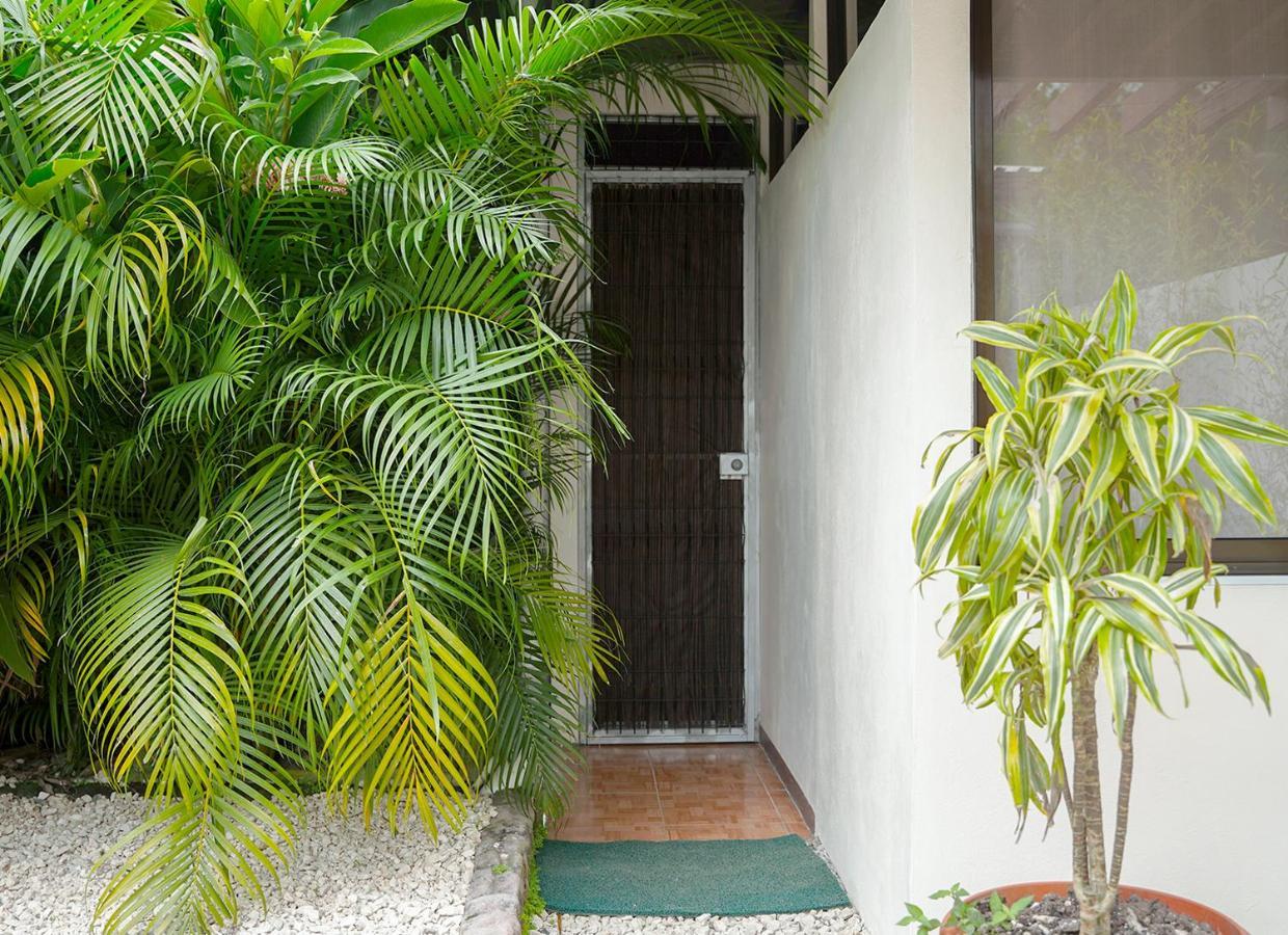 Apartamentos Y Studios Brisas Del Mar Santa Teresa Playa Santa Teresa  Eksteriør billede
